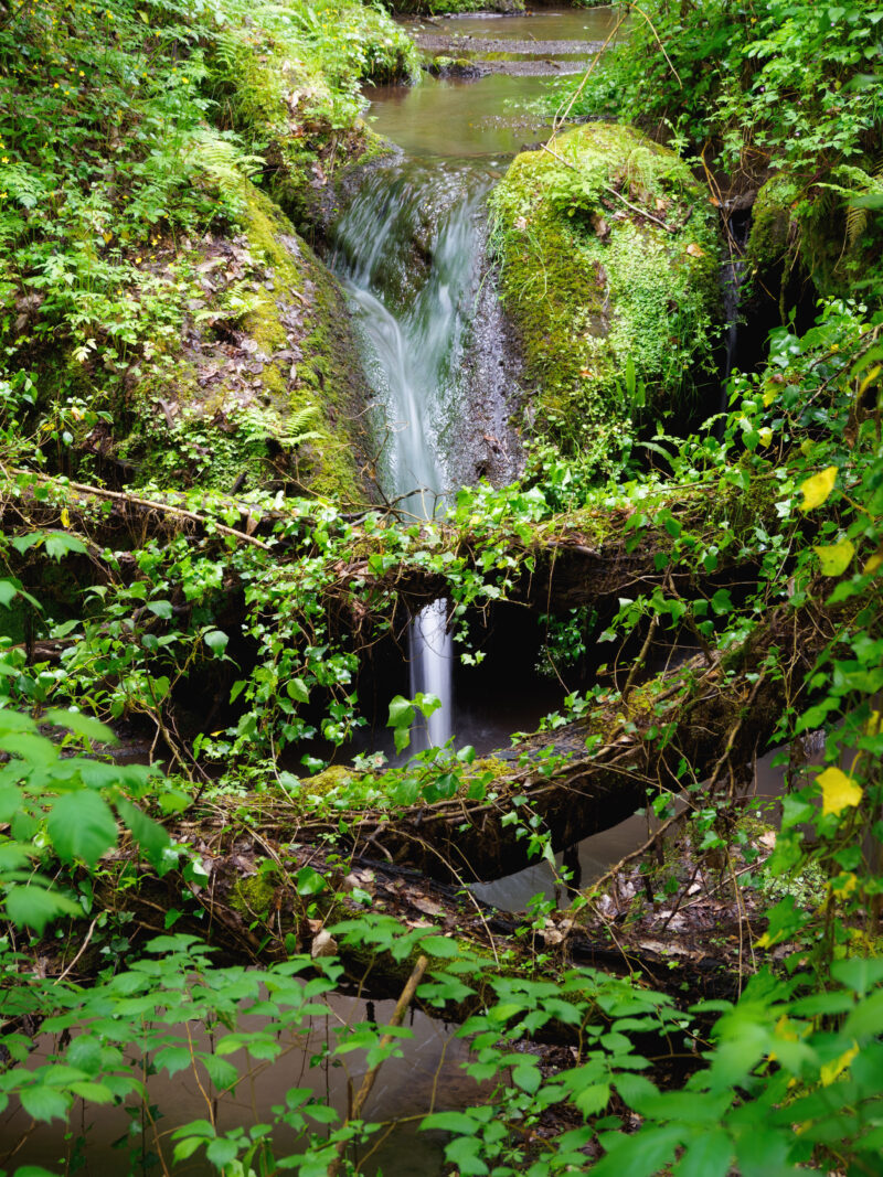 Piccola cascata tra le rocce ricoperte di muschio lungo un torrente nel bosco Tra Capranica e Sutri