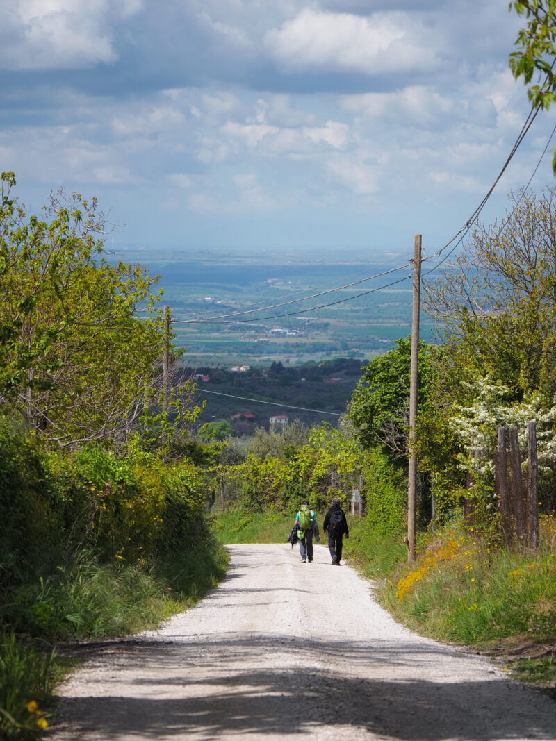 Due pellegrini in discesa verso Vetralla sulla via Francigena