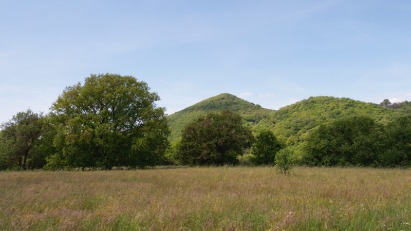 Monte Rinacceto e Monte Rocca Romana, trekking via Francigena verso Trevignano Romano