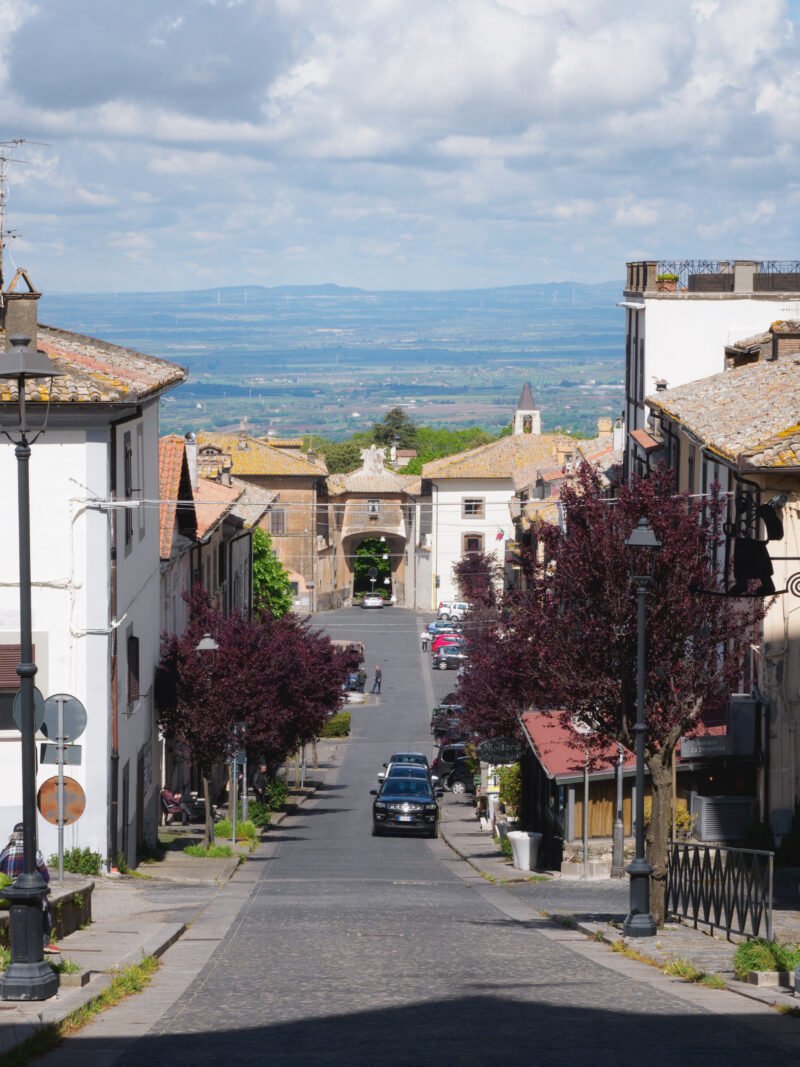 Panorama sulla campagna verde dalla sommità di San Martino al Cimino