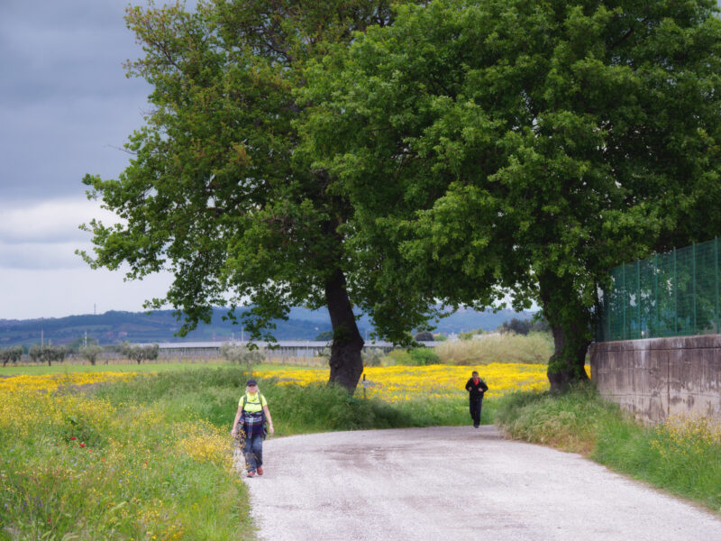 Pellegrini a piedi lungo un sentiero della via Francigena in primavera