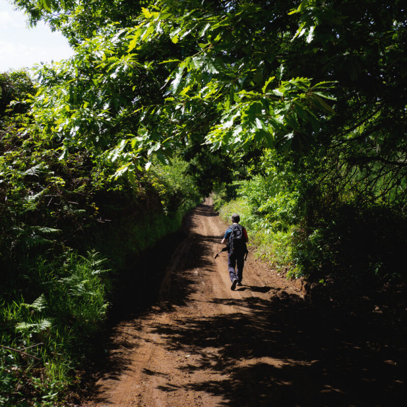 Pellegrino in controluce sul sentiero della via Francigena verso il lago di Bracciano