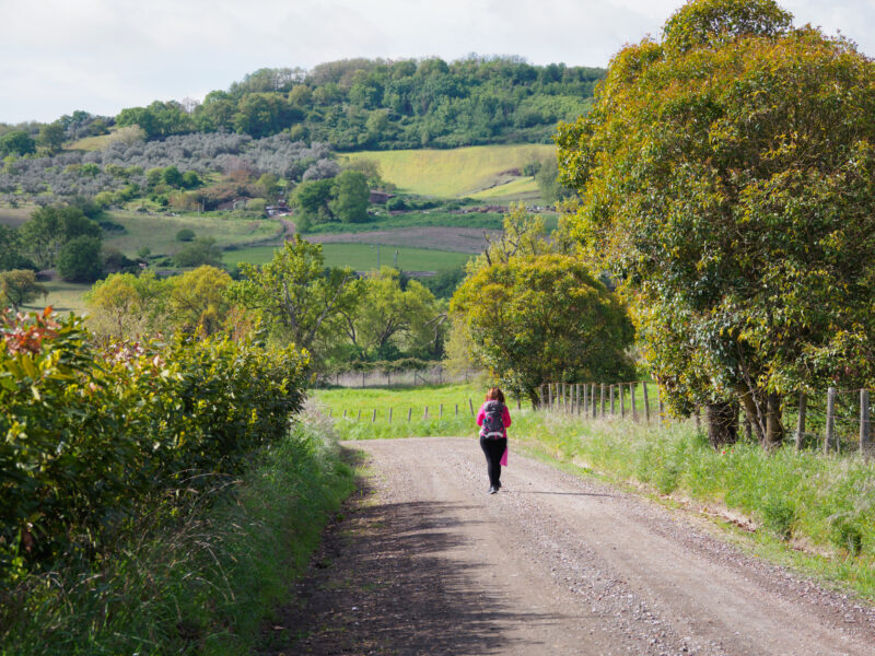 Pellegrino con zaino sul sentiero della via Francigena tra colline verdi