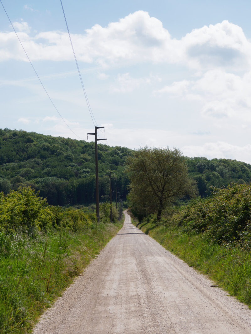 Strada bianca rettilinea tra noccioleti verso Trevignano Romano