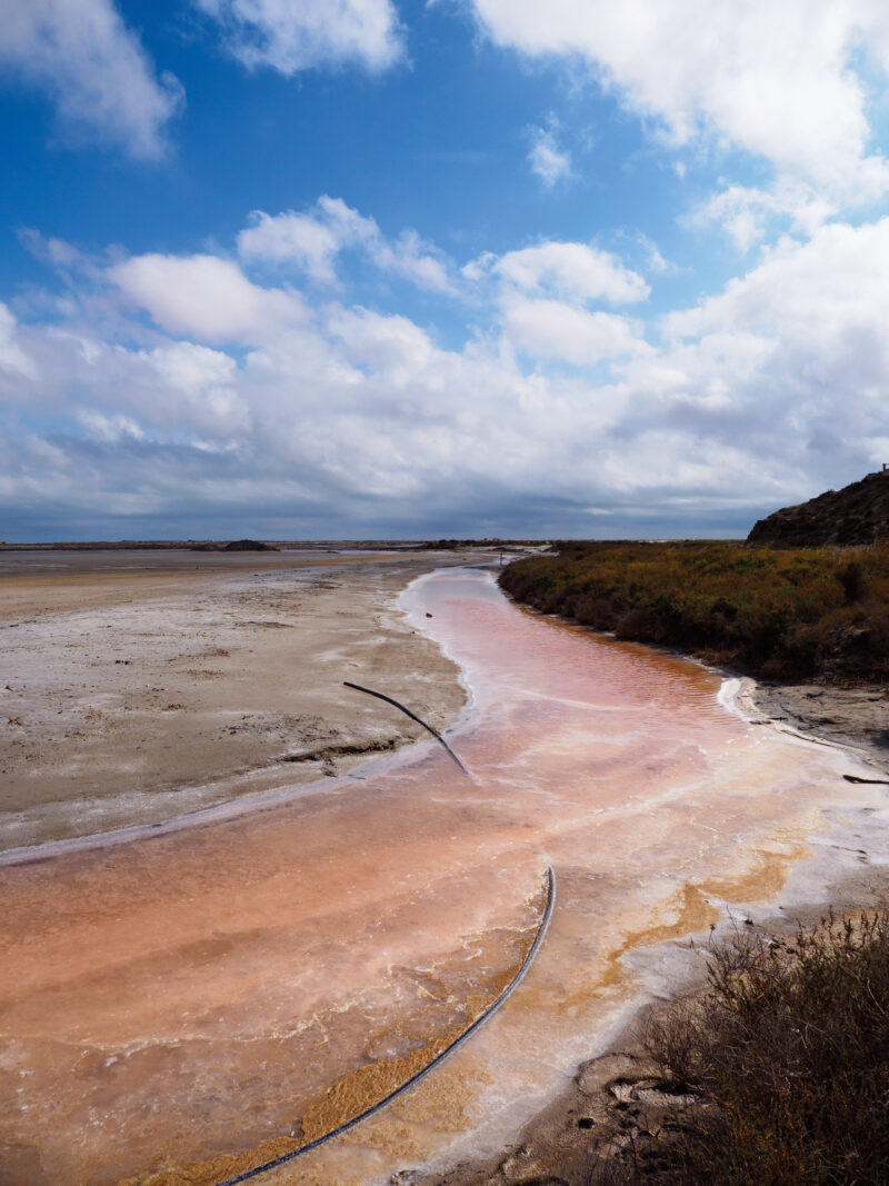 Canale d'acqua salata rosa che serpeggia tra la vegetazione