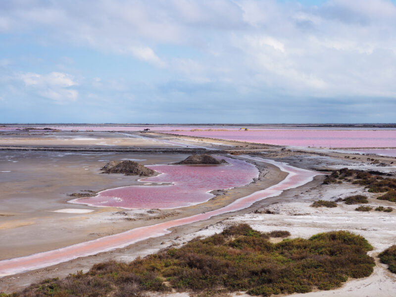 Panoramica delle saline con acque rosa e macchia mediterranea