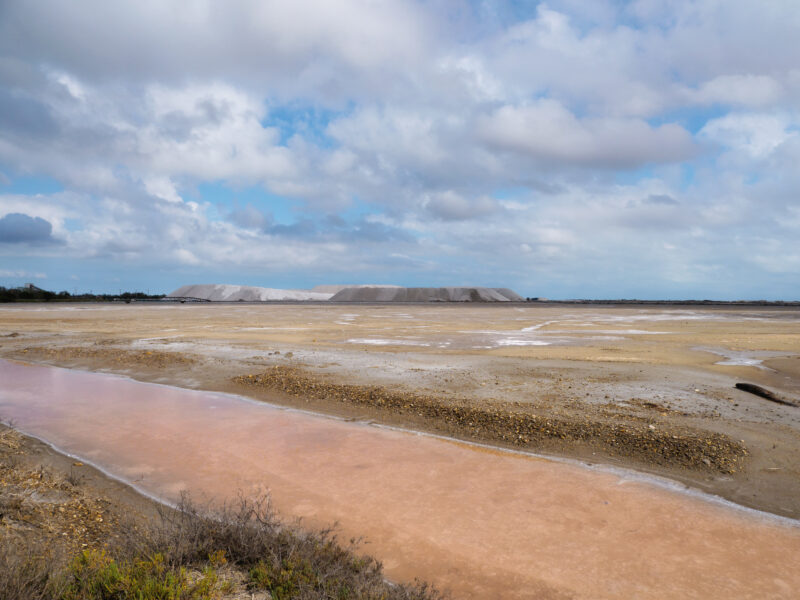 Pozza d'acqua rosa con cumuli di sale sullo sfondo