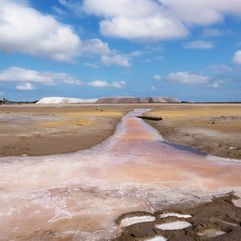 Salina della camargue con colori rosati e cielo blu