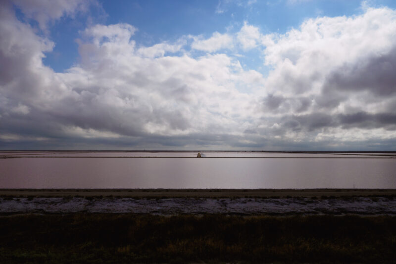 Distese d'acqua rosa nelle vasche di evaporazione in Camargue