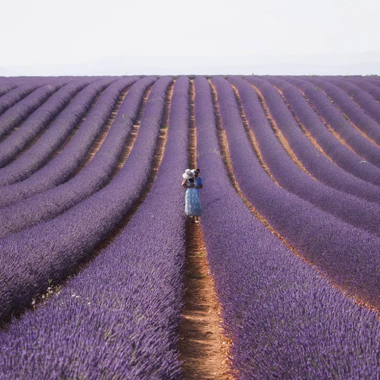 Donna che abbraccia suo uomo in un campo di lavanda in fiore