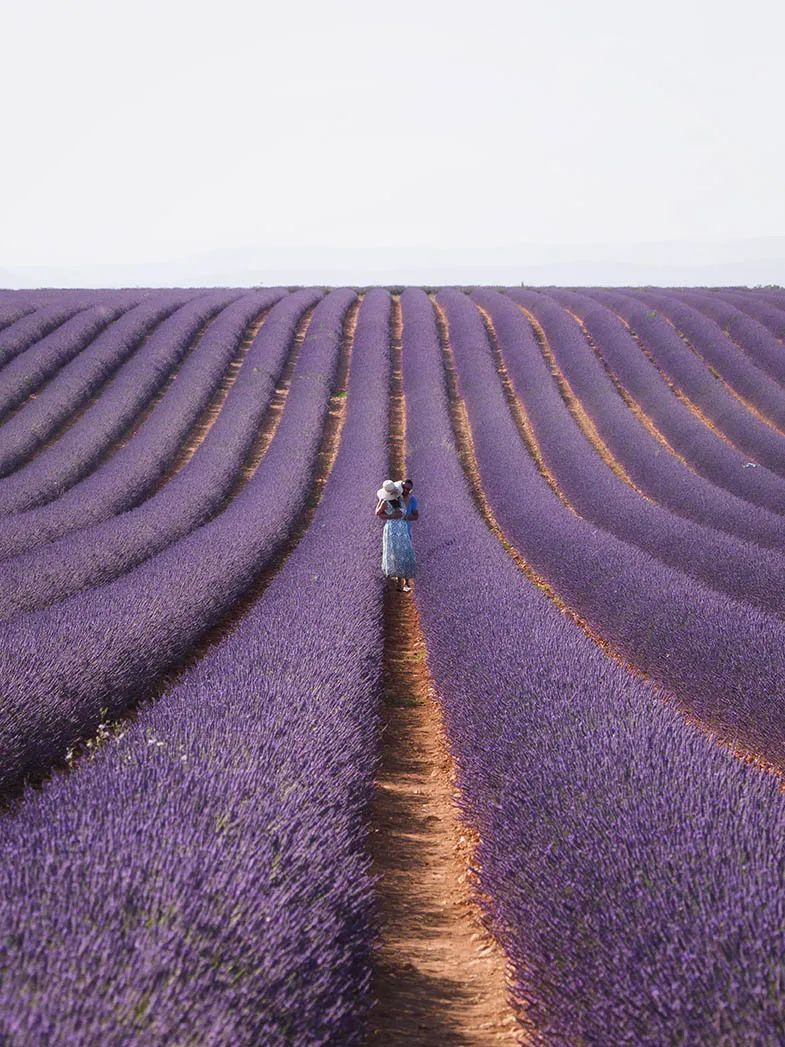 Shop - Foto e Quadri di Alta Qualità