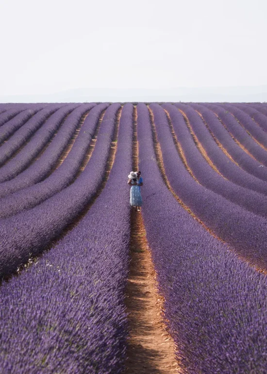 Stampe Fine Art e Antiche Tecniche di Stampa