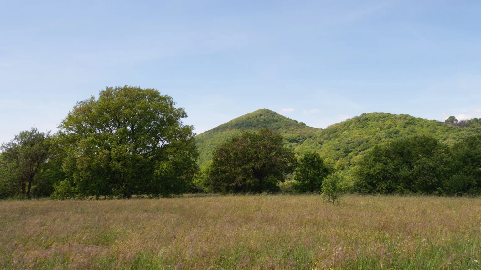 Monte Rinacceto e Monte Rocca Romana, trekking via Francigena verso Trevignano Romano